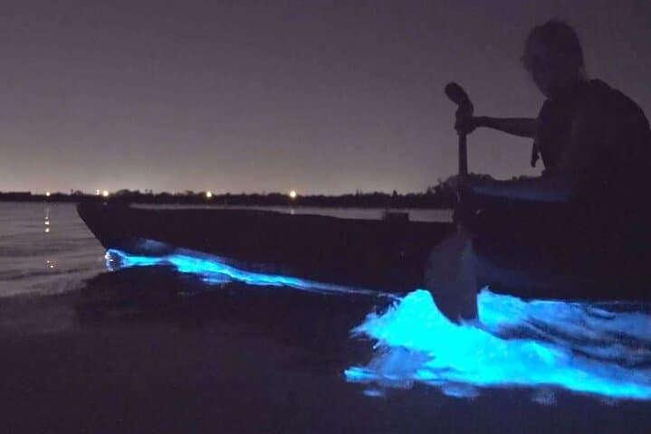Cocoa Beach Bioluminescence Clear Kayak & Paddleboard Tour photo 5