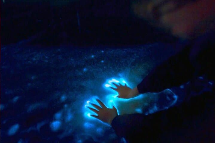 Cocoa Beach Bioluminescence Clear Kayak & Paddleboard Tour photo 4