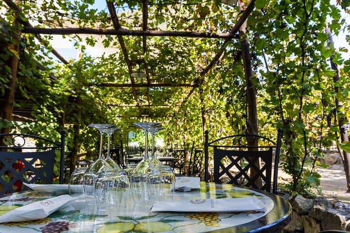 Skip-the-Line Pompeii and Bosco dei Medici Winery Day Tour from Sorrento photo 2