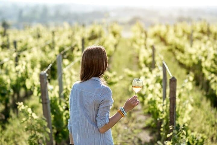 Skip-the-Line Pompeii and Bosco dei Medici Winery Day Tour from Sorrento photo 5