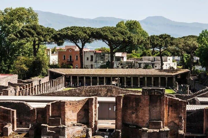 Skip-the-Line Pompeii and Bosco dei Medici Winery Day Tour from Sorrento