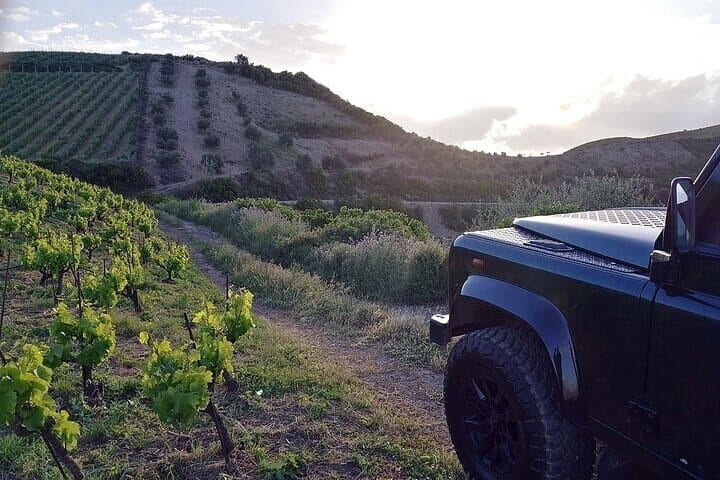 Jeep Safari Rethymno: Cretan Viniculture & Olive Oil Tasting Experience photo 4