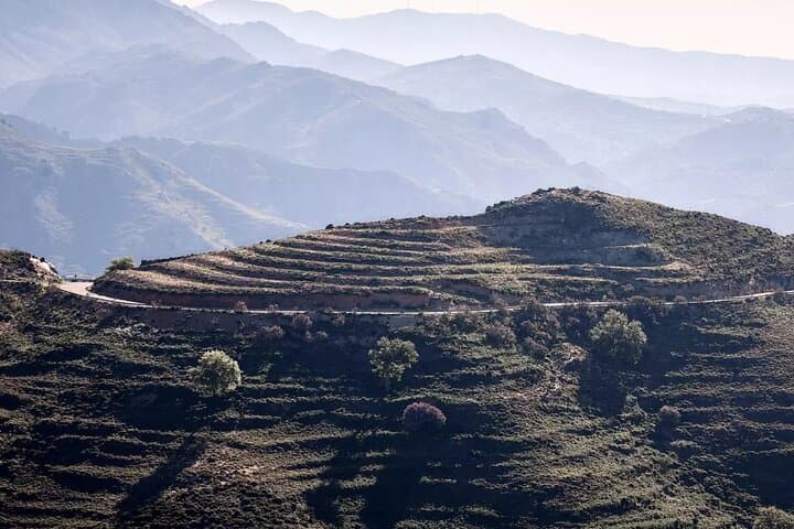 Jeep Safari Rethymno: Cretan Viniculture & Olive Oil Tasting Experience photo 3
