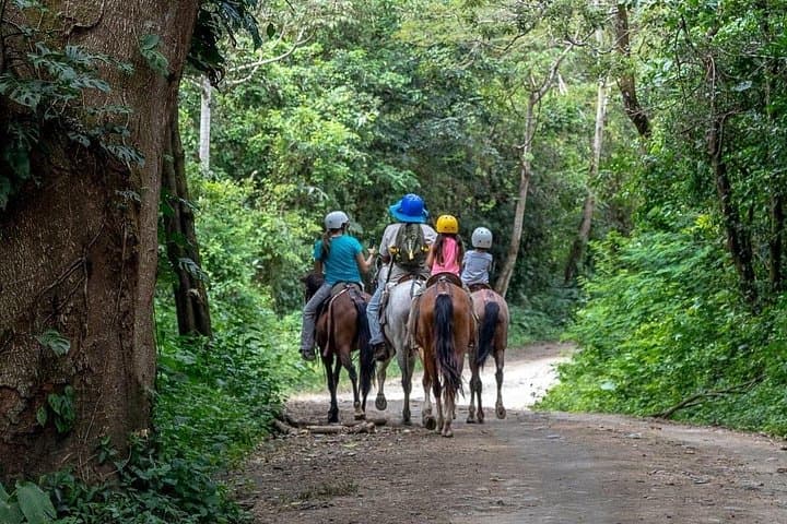 Guanacaste Zipline Adrenaline Combo: Waterslides, Hot Springs & Tractor Safari photo 2