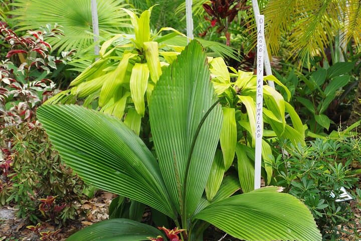 Private Walking Tour to St. Johns Botanical Garden & Nature Preserve — St. Augustine photo 6