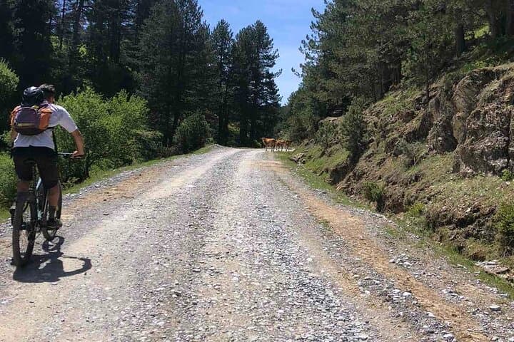 Private E-Bike Tour on Mount Olympus: Guided Ride to Dion & Thermaikos Views photo 3