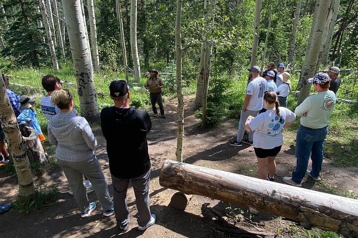 Not So Mellow Marshmallow 4x4 Sunset & S'mores Tour — Estes Park photo 6