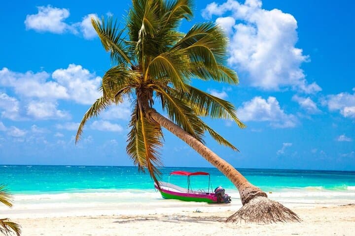 Snorkel Tulum: Two Reef Points with Panoramic Ruins View (1h20) photo 3