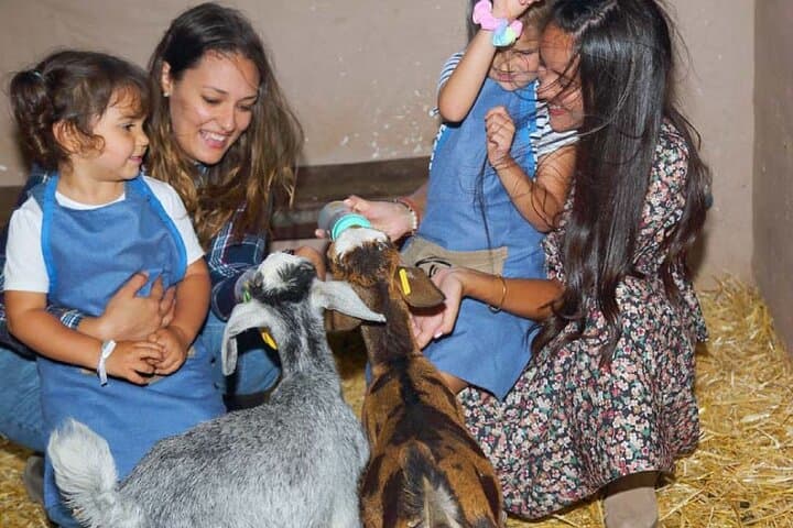 Farmer for a Day on Gran Canaria: Hands-On Farm Experience with Animals & Tastings