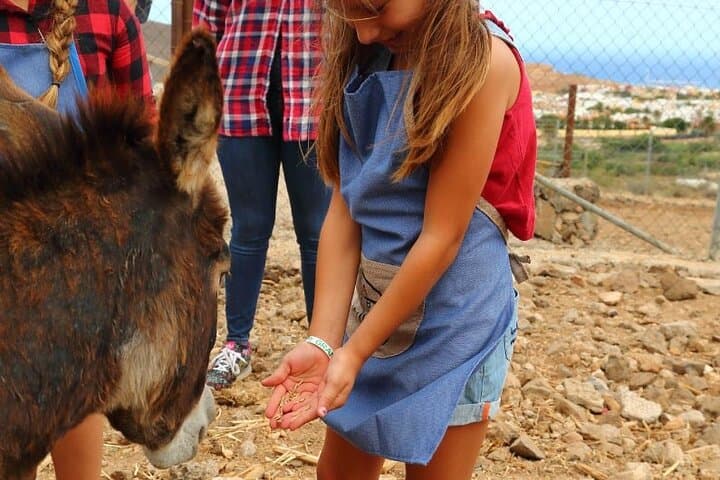 Farmer for a Day on Gran Canaria: Hands-On Farm Experience with Animals & Tastings photo 2