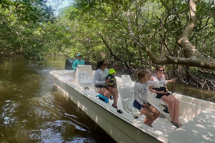 Everglades Mangrove Wilderness Boat Tour: 2-Hour Guided Small-Boat Eco-Cruise photo 3