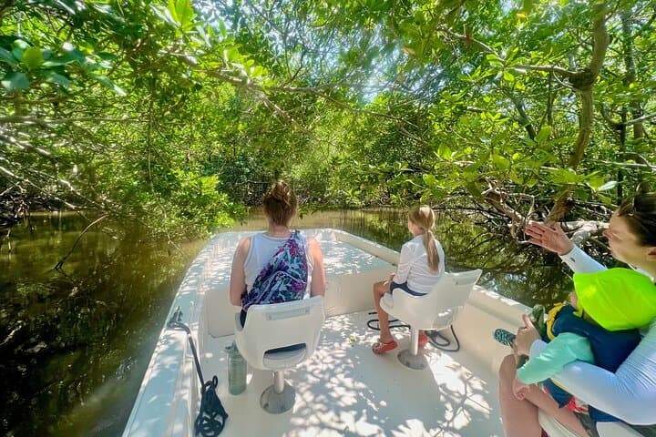 Everglades Mangrove Wilderness Boat Tour: 2-Hour Guided Small-Boat Eco-Cruise photo 2