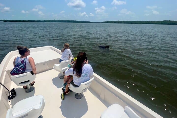 Everglades Mangrove Wilderness Boat Tour: 2-Hour Guided Small-Boat Eco-Cruise photo 4