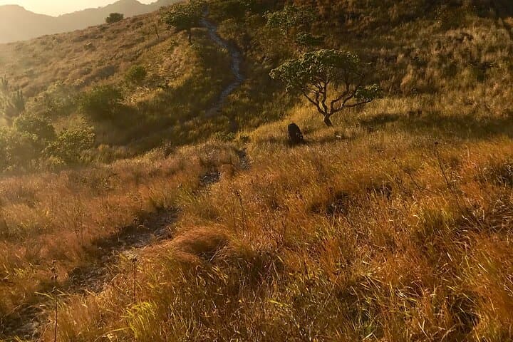 Hike La India Dormida: Private 3‑Hour Trail Hike in El Valle de Antón photo 2