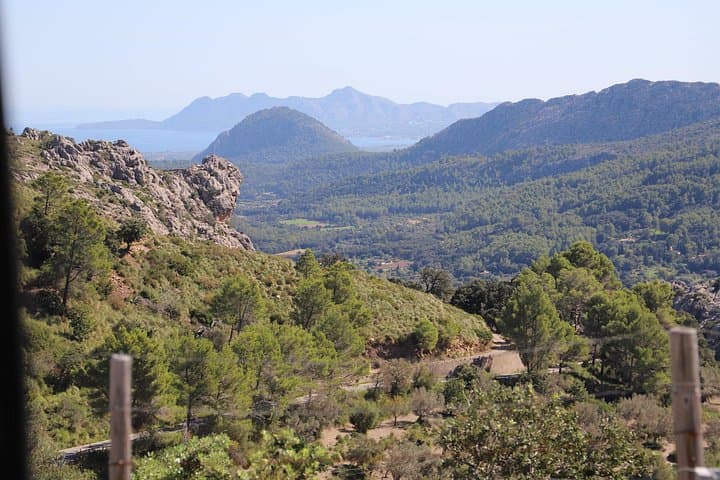 Pollensa Market & Lluc Monastery Day Tour: Markets, Calvary Steps & Tramuntana Views photo 2