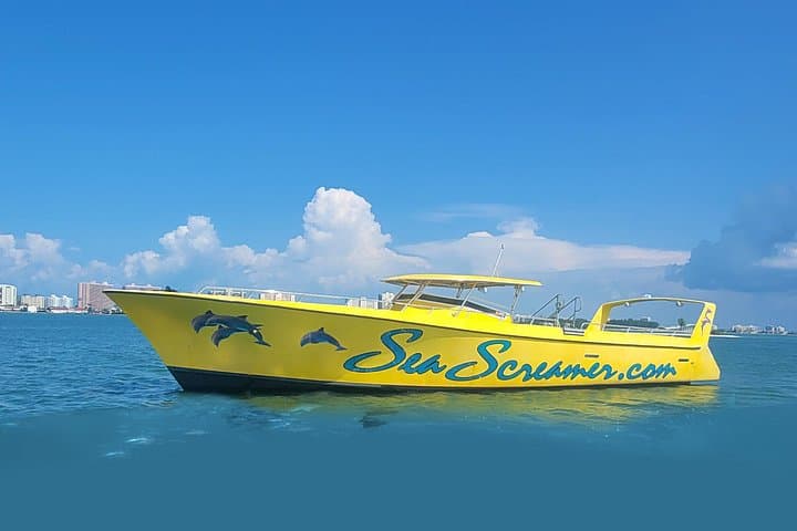 Sea Screamer Speed Boat Dolphin Tour — Clearwater Beach Dolphin Watching Cruise photo 3