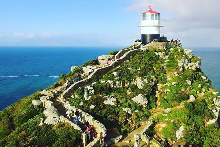 Cape Town Scenic Day Tour by Car — Cape Peninsula, Penguins & Chapman's Peak photo 2