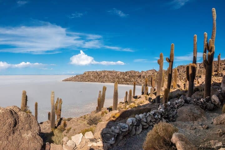 Salar de Uyuni Private Full-Day Tour: Salt Flats, Incahuasi & Tunupa Sunset photo 3