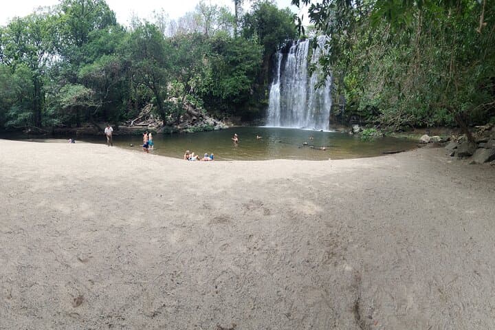 Palo Verde & Bijagua: Full-Day Water and Land Wildlife Safari from Playa Flamingo photo 6