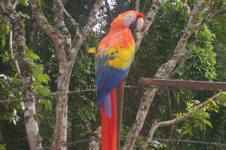 20-Day Mayan Mystique: Guatemala, Belize & Honduras Adventure photo 5