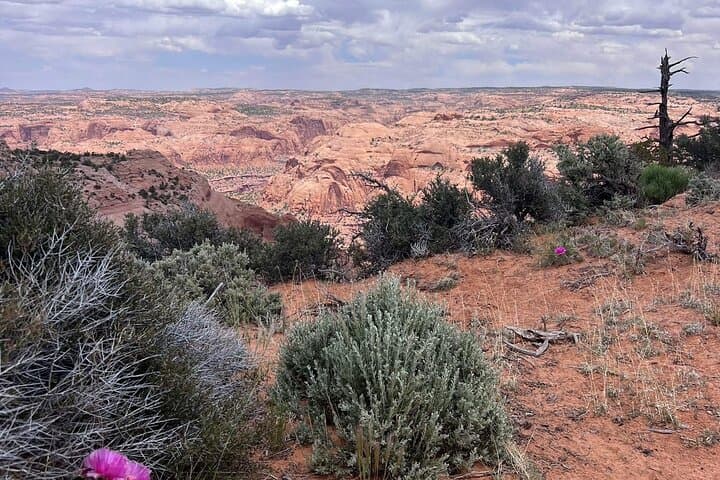 Eggshell Arch Day Truck Tour: Navajo Mountain Scenic Drive and Cultural Visit photo 3