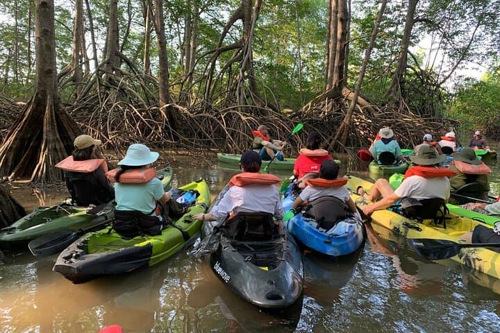 Terraba-Sierpe Mangrove Tour: Explore Costa Rica’s Largest Mangrove by Boat or Kayak photo 4