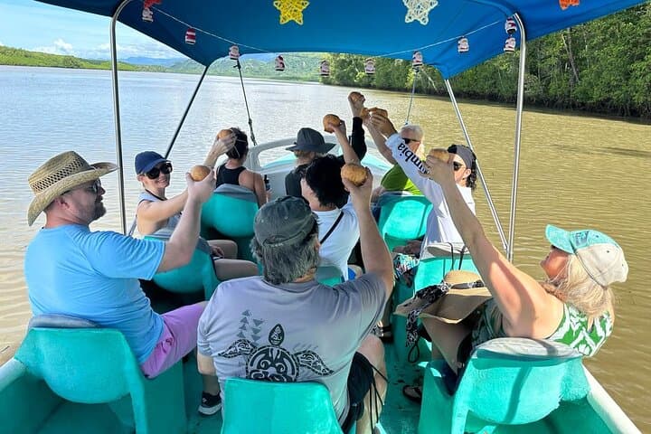 Terraba-Sierpe Mangrove Tour: Explore Costa Rica’s Largest Mangrove by Boat or Kayak photo 3