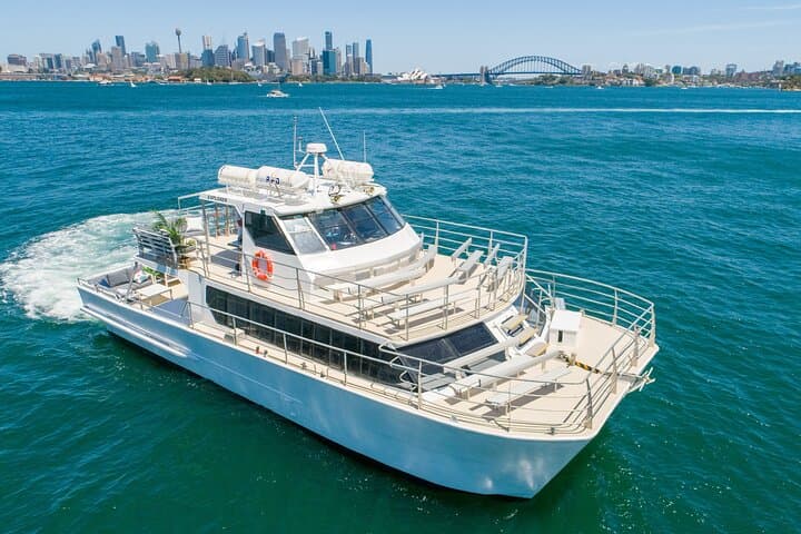 Sydney Whale Watching Cruise from Circular Quay — Catamaran Adventure photo 3