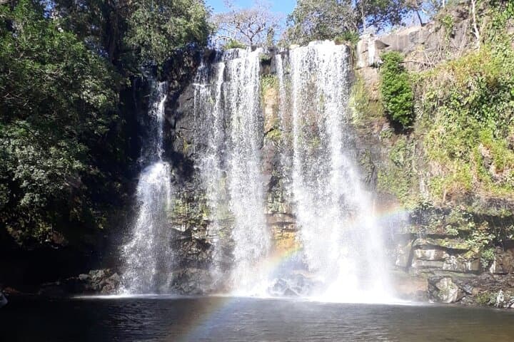 Private Tour to Llanos de Cortés Falls and Rainforest from Liberia photo 4