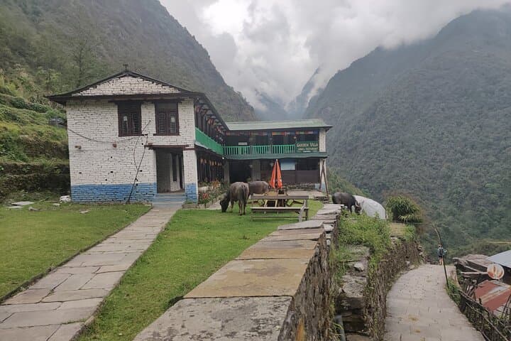 Kathmandu to Annapurna Base Camp: 7-Day Trek Through the Annapurna Sanctuary photo 5