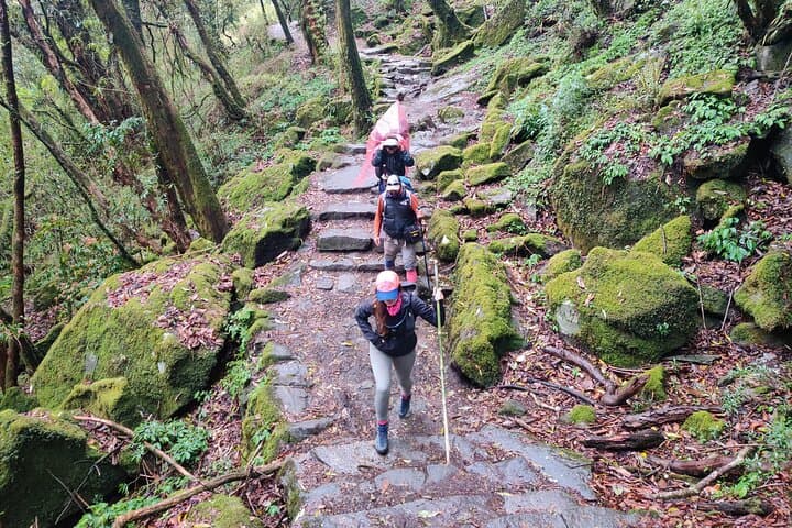 Kathmandu to Annapurna Base Camp: 7-Day Trek Through the Annapurna Sanctuary photo 4