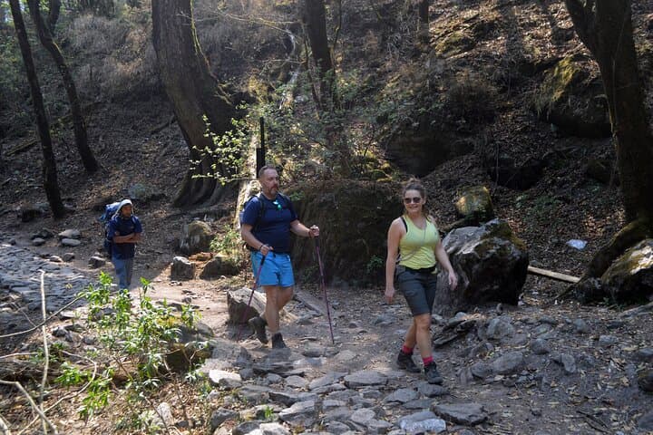 7-Day Langtang Valley Trek from Kathmandu: Kyanjin Gompa & Kyanjin Ri