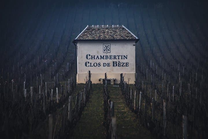 Luxury Burgundy Wine Tour: Grand Cru Tastings from Dijon photo 1