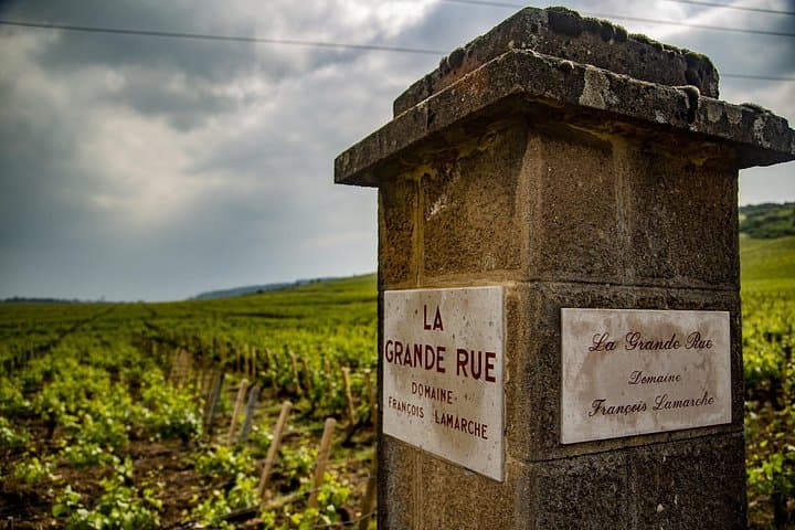 Luxury Burgundy Wine Tour: Grand Cru Tastings from Dijon photo 2