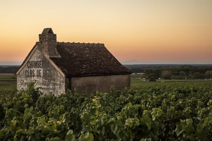 Full-Day Private Wine Tour in Côte de Nuits — Burgundy Grand Cru Tasting from Beaune
