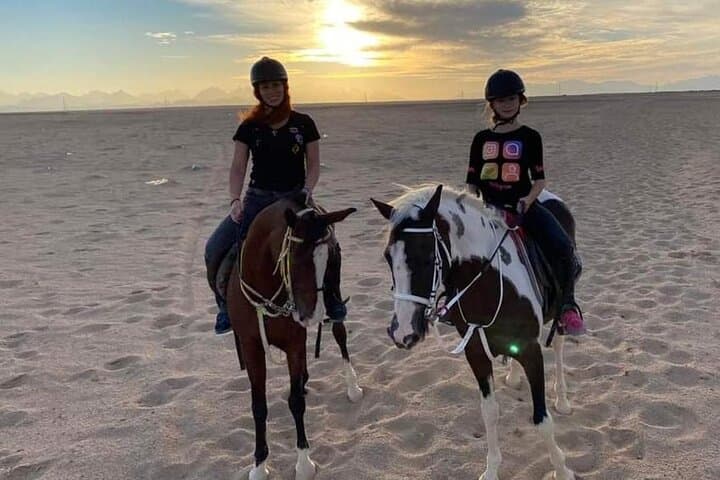 Hurghada Private Beach & Desert Horse Ride — 2-Hour Guided Experience