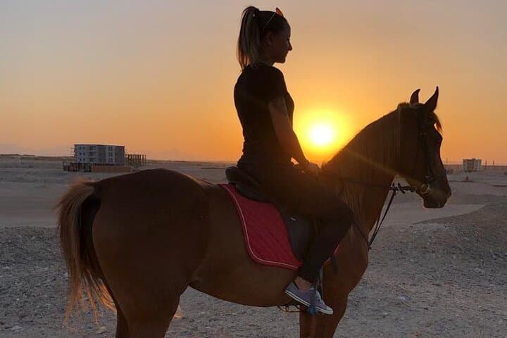 Hurghada Private Beach & Desert Horse Ride — 2-Hour Guided Experience photo 2