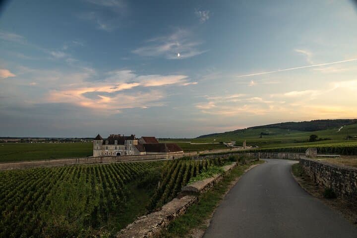 Full-Day Private Wine Tour in Côte de Nuits — Burgundy Grand Cru Tasting from Beaune photo 5
