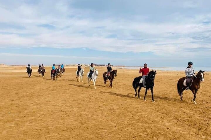 Hurghada Private Beach & Desert Horse Ride — 2-Hour Guided Experience photo 5