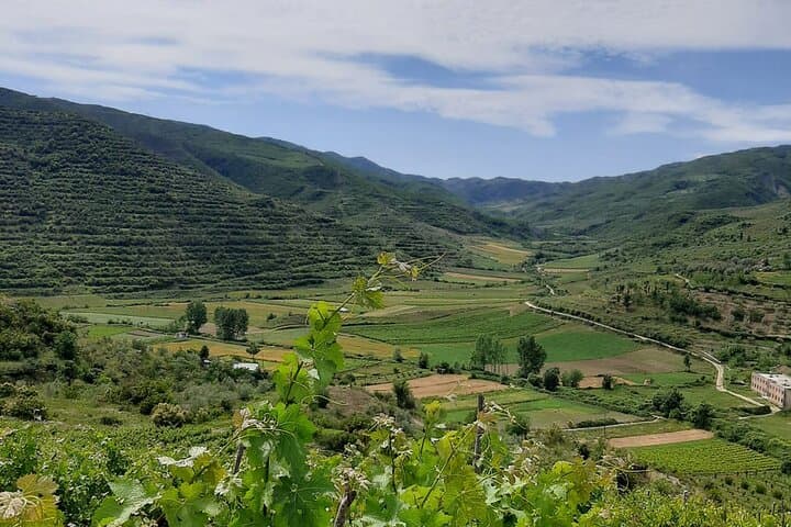 Berat 4x4 Off-Road & Malinat Vineyard Wine Tasting — Day Tour from Berat