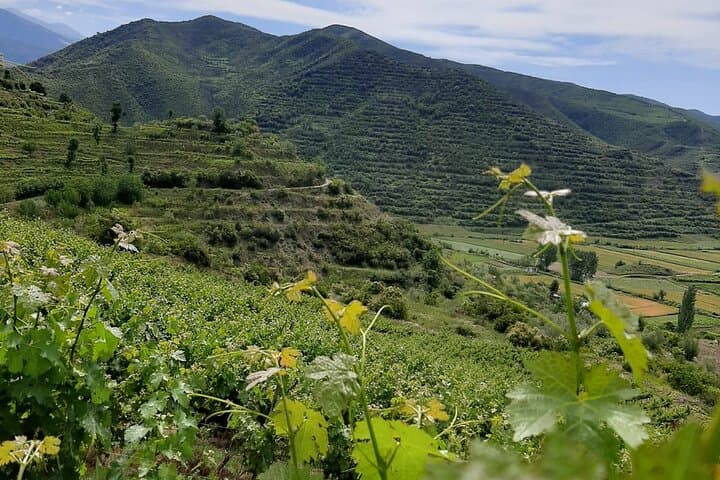 Berat 4x4 Off-Road and Malinat Vineyard Wine Tasting photo 2