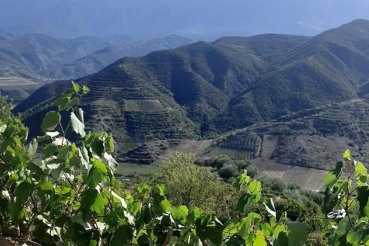 Berat 4x4 Off-Road & Malinat Vineyard Wine Tasting — Day Tour from Berat photo 5