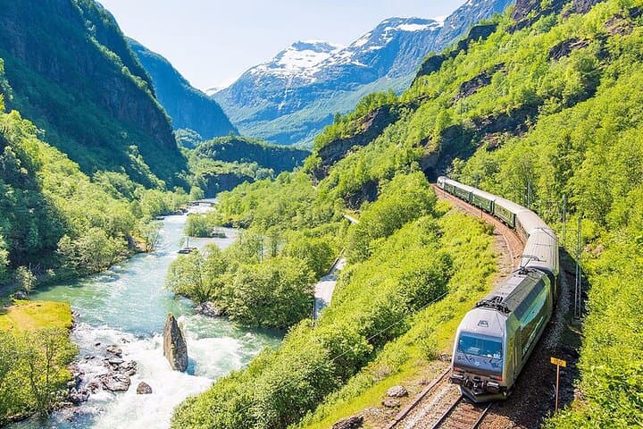 Private Premium Nærøyfjord Cruise and Flåm Railway from Bergen photo 4