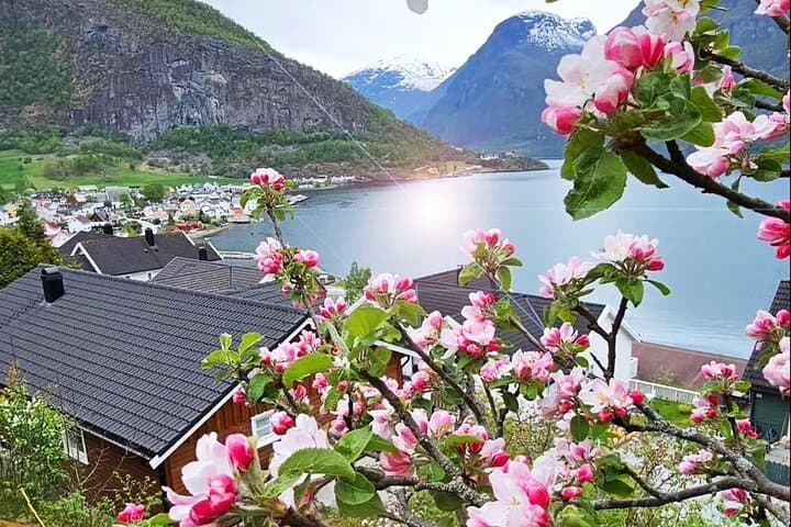 Oslo to Flåm: Nærøyfjord Cruise and Flåm Railway — Private Guided One‑Day Journey photo 5