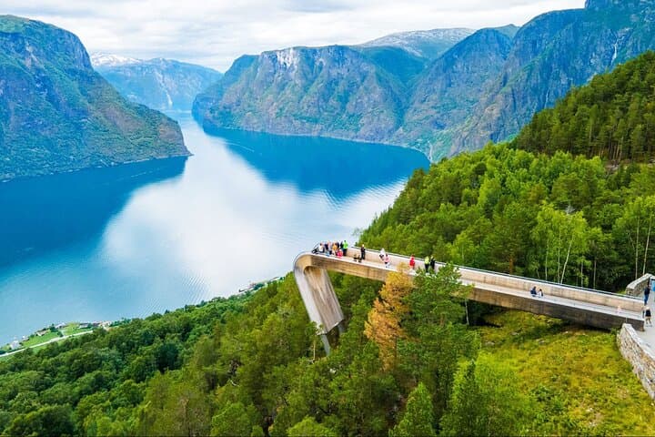 Private Premium Nærøyfjord Cruise and Flåm Railway from Bergen photo 6