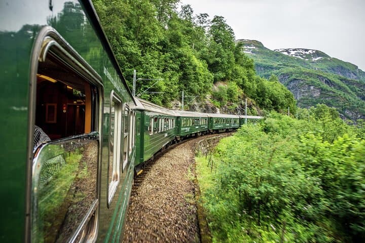 Private Premium Nærøyfjord Cruise and Flåm Railway from Bergen photo 5