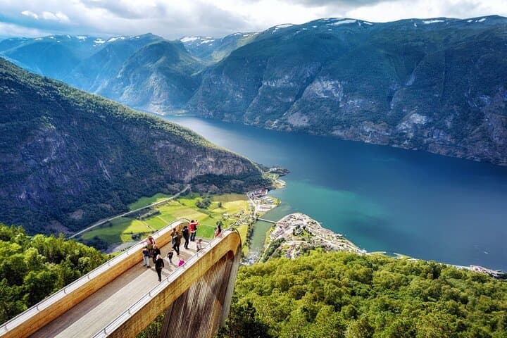 Private Premium Nærøyfjord Cruise and Flåm Railway from Bergen photo 3