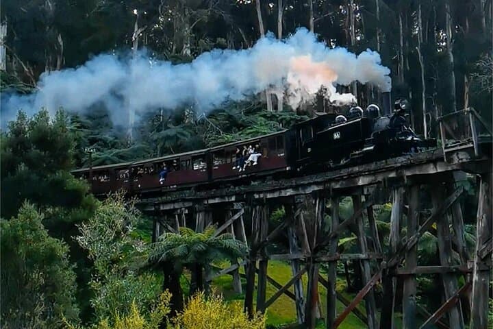 Puffing Billy to Phillip Island: Melbourne Day Tour with Penguin Parade
