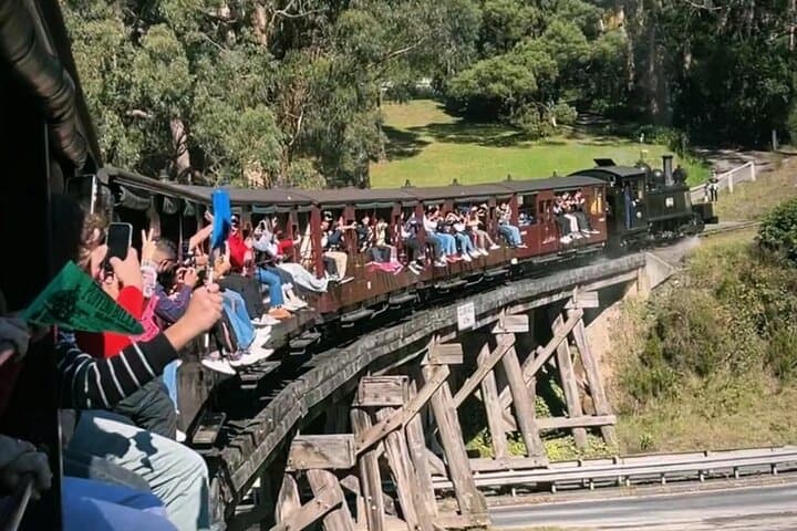Puffing Billy to Phillip Island: Melbourne Day Tour with Penguin Parade photo 2
