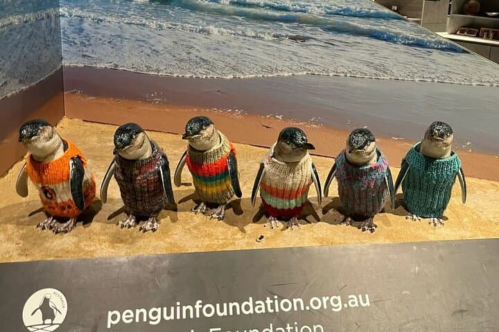 Puffing Billy to Phillip Island: Melbourne Day Tour with Penguin Parade photo 6